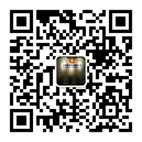 �P(gu��n)ע�҂�