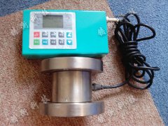 320牛米數(shù)字扭力檢測儀可連電腦 320牛米數(shù)字扭力檢測儀可連電腦