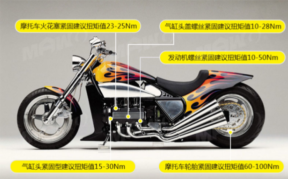 緊固地腳螺栓用的420N.m可換梅花頭調(diào)節(jié)扭力扳手