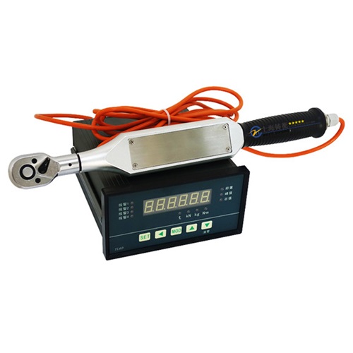 �ɓQ��݆�^�ʽ��(sh��)�@�Ƕ�Ť���z�y����