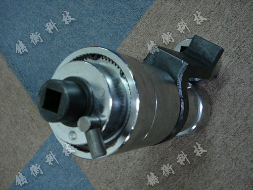 Ť�ذ��ֱ������DƬ